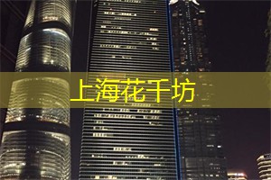 爱上海：上海魔都夜景