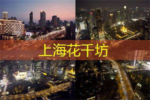 <strong>上海娱乐网</strong>：揭开上海后花园的神秘面纱，享受大自然的怀抱