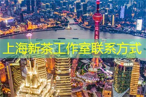 上海后花园论坛：走进上海论坛：探索城市精英们交流的秘密花园！