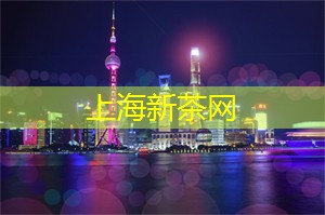 <strong>爱上海官网</strong>：等到你重回