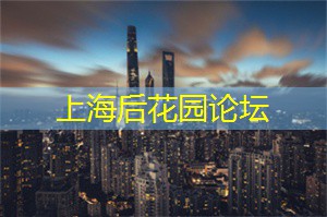 <strong>爱上海同城论坛</strong>：一场“不眠之夜”的东京风情分析